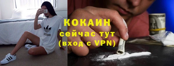бошки Вяземский